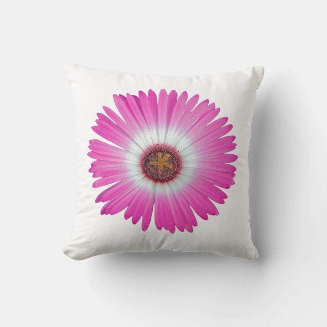 Daisy Shasta Coussin en "rose chaud" (Recto)