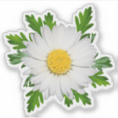 Daisy Sticker (Voorkant)