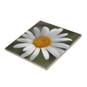 Daisy Tegeltje (Zijkant)