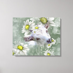 Daisy the Baby Goat Waterverf Portret 2 Canvas Afdruk