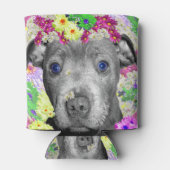 Daisy The Staffordshire Bull Terrier Puppy, Blikjeskoeler (Achterkant)