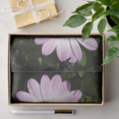 Daisy Tissue Paper Tissuepapier (Geschenk)