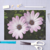 Daisy Tissue Paper Tissuepapier (Craft)