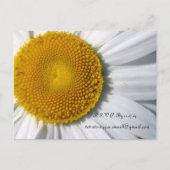 Daisy Wedding Invitations et Faveurs (Dos)