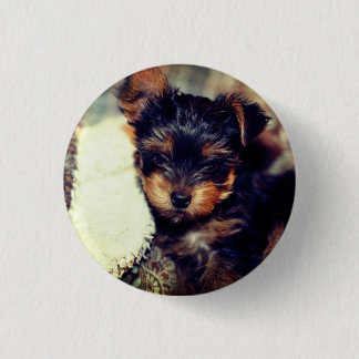 Daisy Yorke Pup, Small, 1¼-inch Button rondom