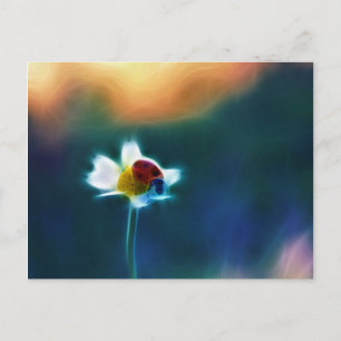 Daisybug Briefkaart