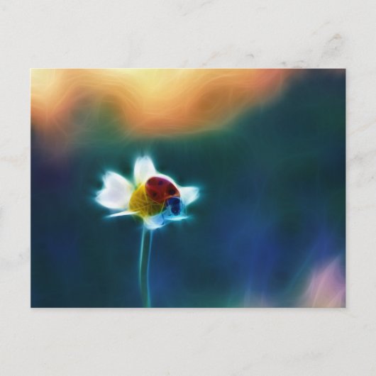 Daisybug Briefkaart (Voorkant)