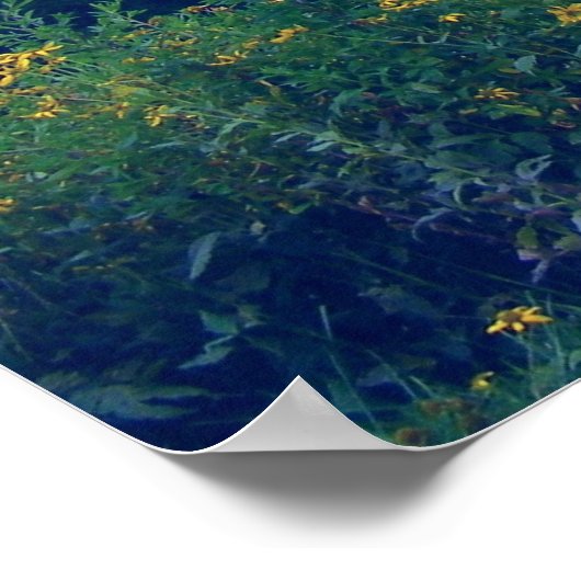 DaisyField Poster (Hoek)