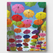 Dak van parasols fotoplaat (Voorkant)