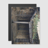 Dakcactus magneet (Voorkant / Achterkant)