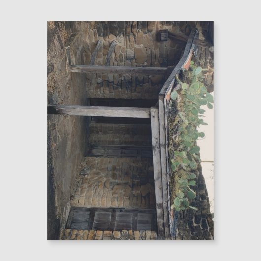 Dakcactus magneet (Voorkant)