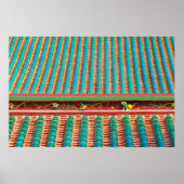 DakDetail van de Zuid-Putuo-tempel Poster (Voorkant)