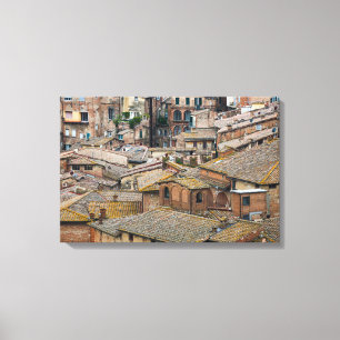 Daken in Siena canvas print