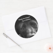 Dakloze Huisdier adoptie stickers Hond (Envelop)