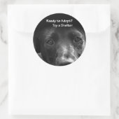 Dakloze Huisdier adoptie stickers Hond (Tas)