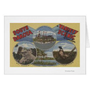 Dakota du Sud - Variété Pittoresque Wonder