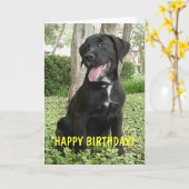 Dakota - Happy Birthday Kaart (Gele Bloem)