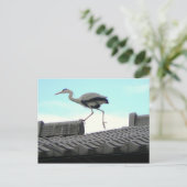 Dakwandelaar Briefkaart (Staand voorkant)