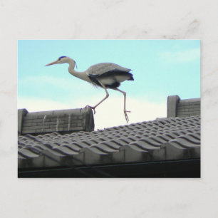 Dakwandelaar Briefkaart