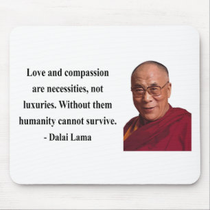 dalai lama citaat 8b muismat