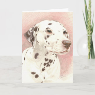 Dalamatiër in kleurpotlood kaart