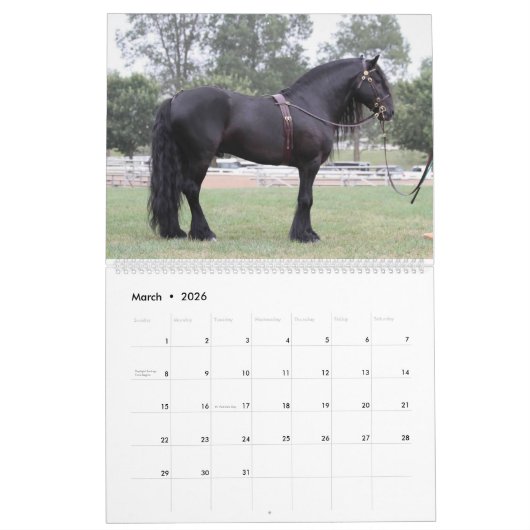 Dales ponies 2023 Calendrier (Mar 2026)