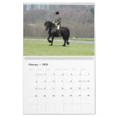Dales ponies 2023 Calendrier (Feb 2026)