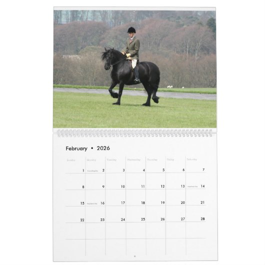 Dales ponies 2023 Calendrier (Feb 2026)