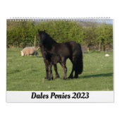Dales ponies 2023 Calendrier (Protection)