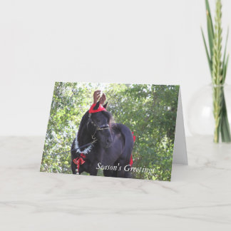 Dales Pony Christmas Kaart
