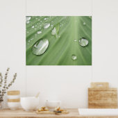 Daling door Drop Poster (Keuken)