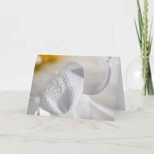 Dalingen op dahliabloemblaadjes kaart (Voorkant)