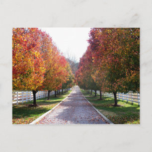 Dall Leaves in Virginia Post Card Glen Allen VA Briefkaart