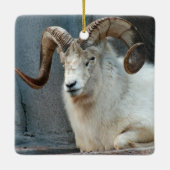 Dall Sheep Ornament (Achterkant)
