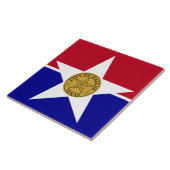 Dallas City Flag Tile Tegeltje (Zijkant)