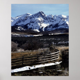 Dallas Didivision Poster