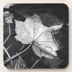 Dalle bladeren in een Pond Black en White Bier Onderzetter
