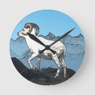 Dall's Sheep Ronde Klok
