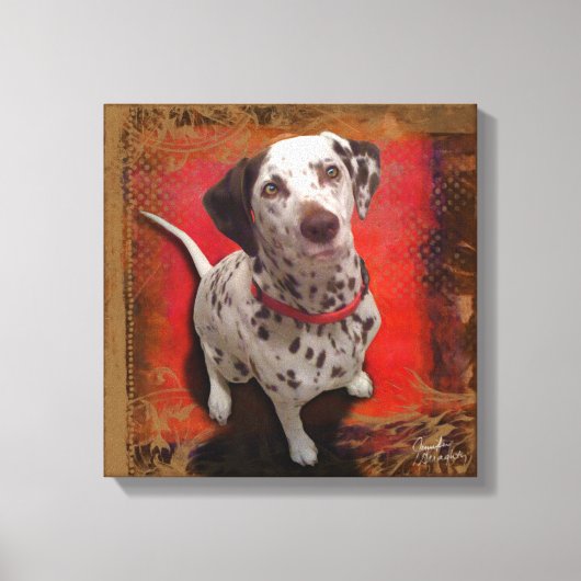 Dalmatiaan 14x14 Verrekend Canvas Afdruk (Voorkant)