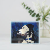 Dalmatiaan "Kelso" ~ Briefkaart (Staand voorkant)