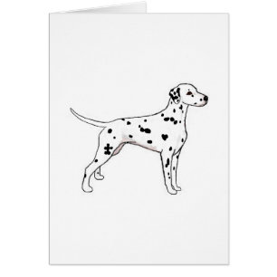 Dalmatiaan met zwarte poot