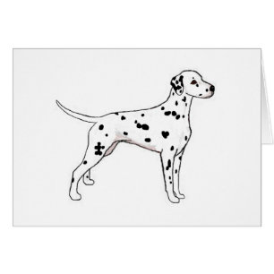 Dalmatiaan met zwarte poot
