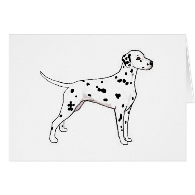 Dalmatiaan met zwarte poot (Voorkant Horizontaal)