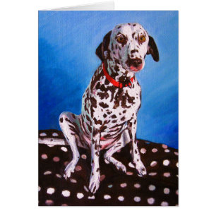 Dalmatiaan op spottzitting 2011