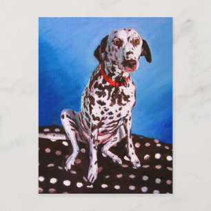 Dalmatiaan op spottzitting 2011 briefkaart