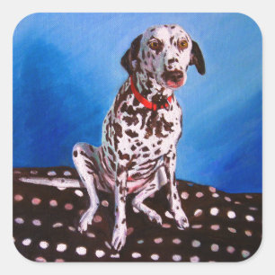 Dalmatiaan op spottzitting 2011 vierkante sticker