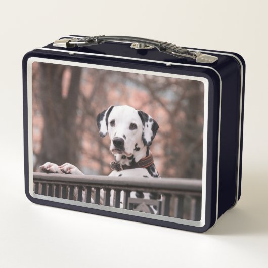 Dalmatiaans (Achterkant)