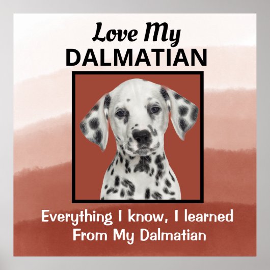 Dalmatiaans aangepast Poster (Voorkant)