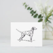 Dalmatiaans Briefkaart (Staand voorkant)