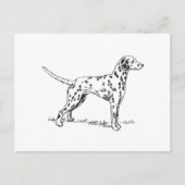 Dalmatiaans Briefkaart (Voorkant)